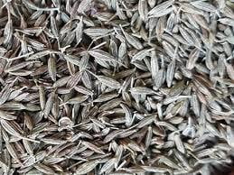Cumin - Cumin Cyminum